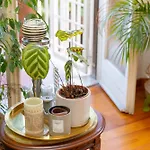 Apartamento Trastevere Relax By In Roma