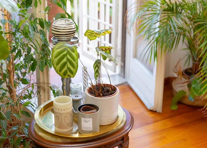 Daire Trastevere Relax By In Roma